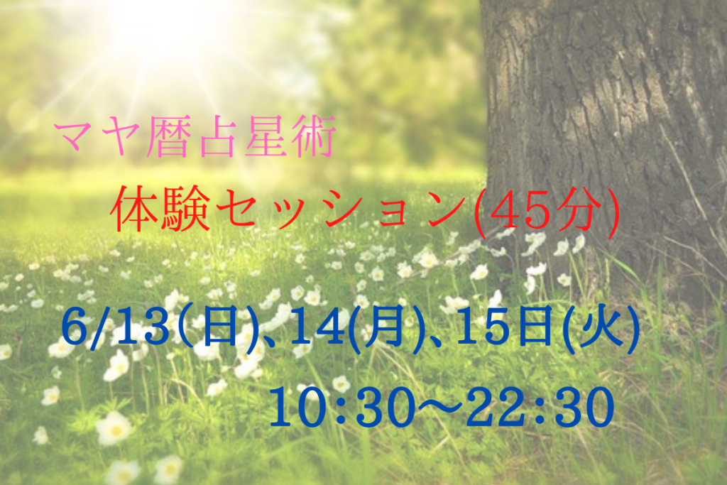 マヤ暦占星術体験6月